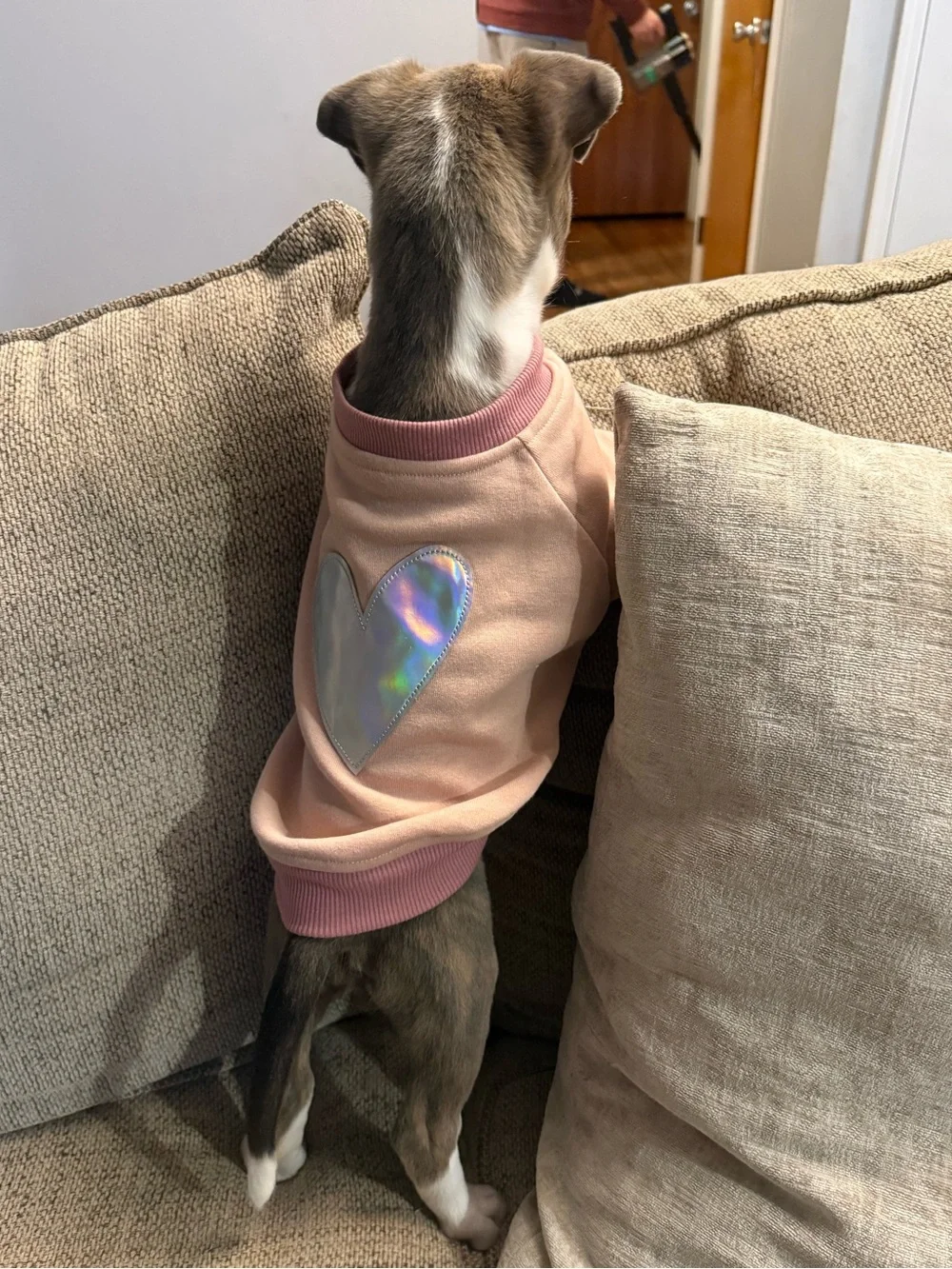 Pink Dog Sweater with Chrome Heart Patch size Small